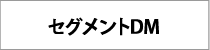 セグメントDMについて