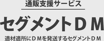 セグメントＤＭ